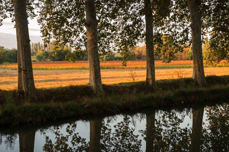 Canal du Midi - Franca